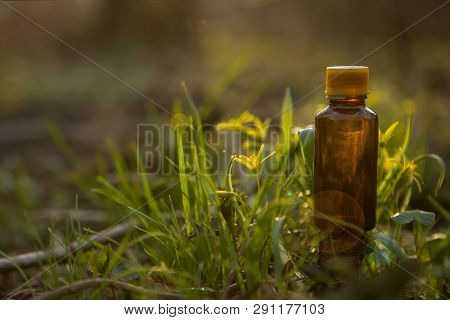 Bach - Floral Therapy. Alternative Medicine. 
Health - A Bottle With Natural Herbs.