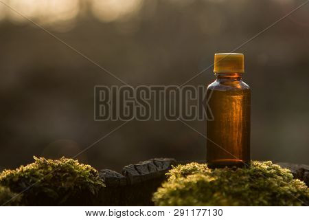 Natural Cosmetics - Herbal Recipe, Bottle.  Medical Bottle And Medical  Herbs.