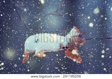 Photo Of The Dry Leaf In The Forest In Winter With Falling Snow
