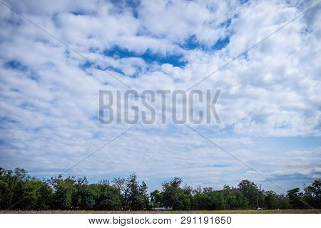 View Of Beautiful Clouds Sky With Meadow Green Tree And Plain Landscape Use For Wallpaper And Backdr