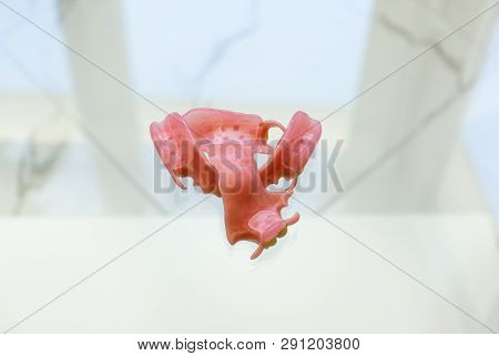 Large Image Of A Modern Denture Nylone On A Glass Background