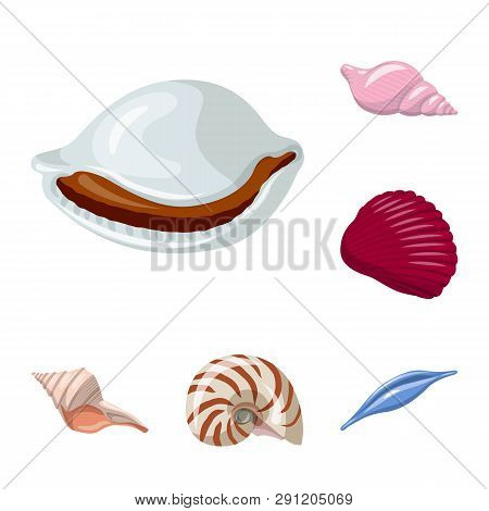Isolated Object Of Seashell And Mollusk Logo. Collection Of Seashell And Seafood  Vector Icon For St