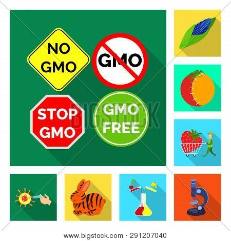 Isolated Object Of Test And Synthetic Sign. Set Of Test And Laboratory Stock Vector Illustration.