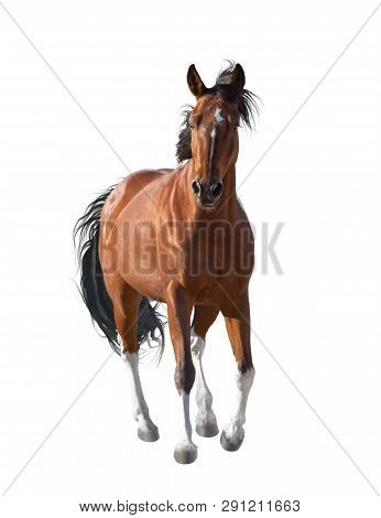 Red Horse With White Legs Runs Forward Isolated On White Background