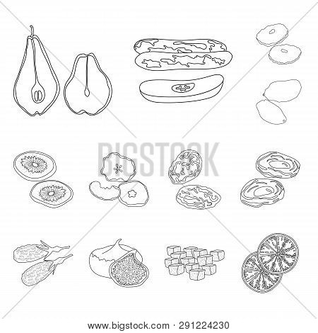 Vector Illustration Of Food  And Raw  Sign. Set Of Food  And Nature  Stock Vector Illustration.
