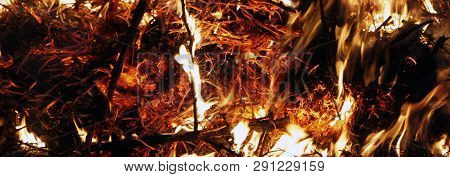 Fire, Flames On A Black Background, Fire Texture