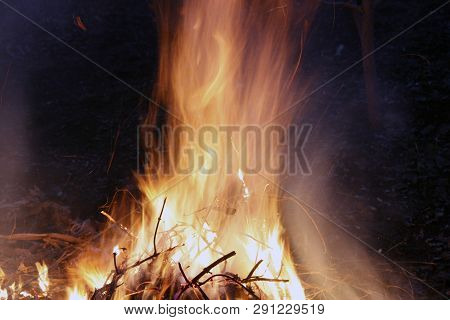 Fire, Flames On A Black Background, Fire Texture