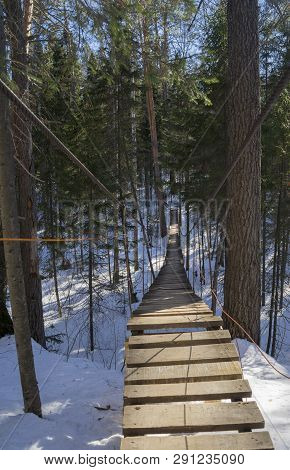 Suspention Bridge In The Pine Snow Forest In Sunny Day