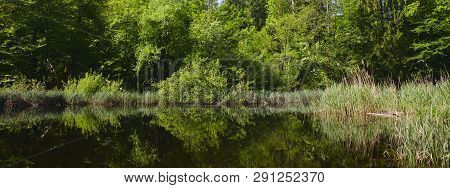 The Surrounding Trees Reflects On The Surface Of A Secluded Forest Lake