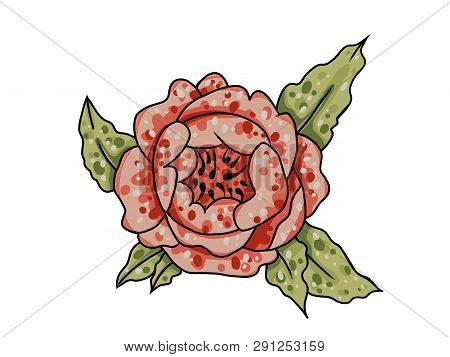 Raster Illustration Of Pink Peony On A White Background. Romantic Design