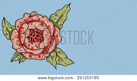 Raster Illustration Of Pink Peony On A White Background