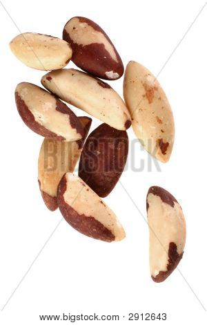 Brazilský ořech