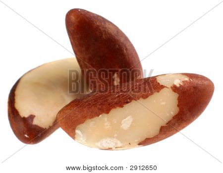 Brazilský ořech