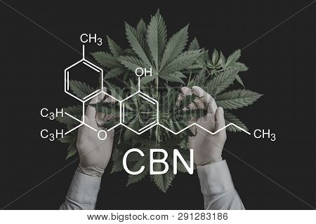 Cbn Formula, Cannabinoid . Cannabinoids And Health, Medical Marijuana, Cbd And Thc Elements In Canna