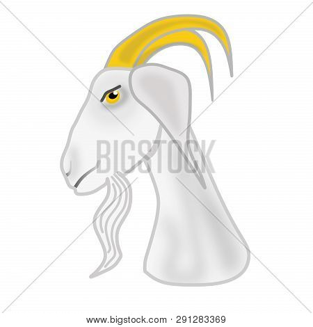 Portrait Of A Very Surprised White Goat - Art Goat Frank