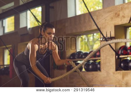 Fit, sporty and athletic sportswoman working in a gym. Woman training using battle ropes. Sports, athletics and fitness concept.