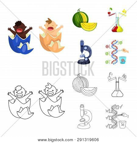 Vector Design Of Test And Synthetic Icon. Collection Of Test And Laboratory Vector Icon For Stock.