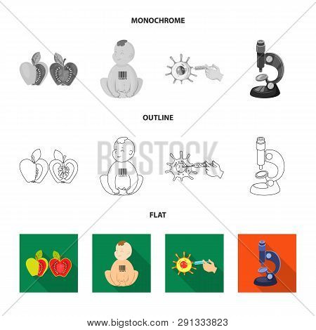 Vector Design Of Test And Synthetic Icon. Set Of Test And Laboratory Vector Icon For Stock.