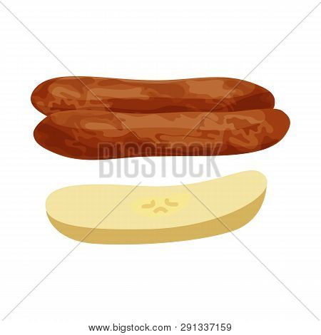 Vector Illustration Of Banana And Dry Symbol. Set Of Banana And Tropical Vector Icon For Stock.