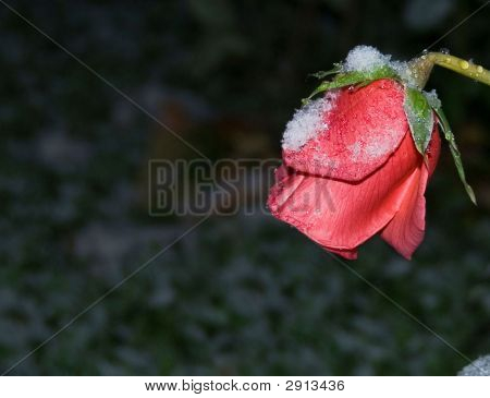 1 Snow