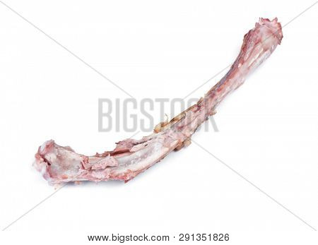 Single bone with flesh isolated on white