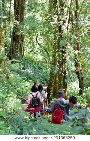 Travelers Traveling On Footpath In Rainforest, Ecotourism In Beautiful Nature Environment In Trail O