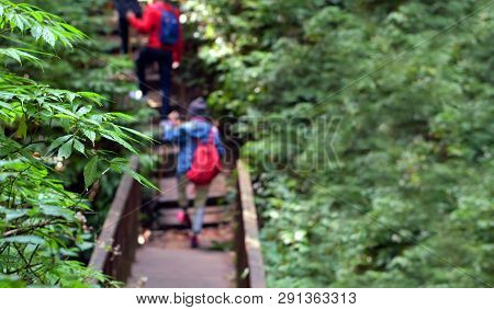 Blur Image Of Travelers Traveling On Footpath, Ecotourism In Beautiful Nature Environment In Trail O