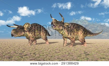 Computer Generated 3d Illustration With The Dinosaur Nasutoceratops In A Landscape