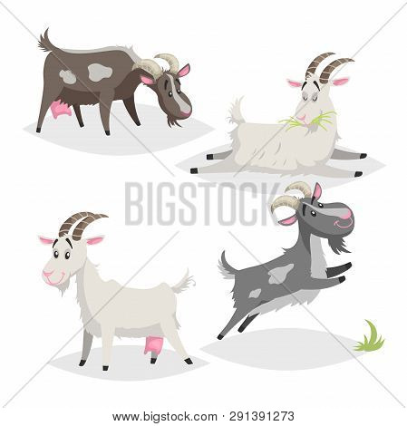Cute Different Colors And Breeds Goats. Cartoon Flat Style Farm Animals Collection. Eating, Sleeping