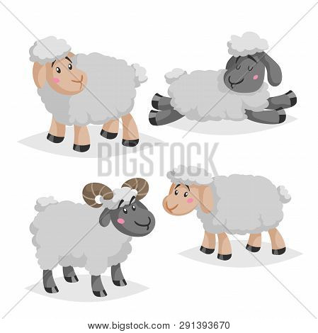 Cute Sheeps And Rams In Various Poses. Cartoon Style Farm Animals.  Slleeping And Standing Animals. 