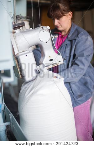 14 October 2014.ukraine.kyiv.work On The Production Of Agricultural Products. A Caucasian Woman Dres