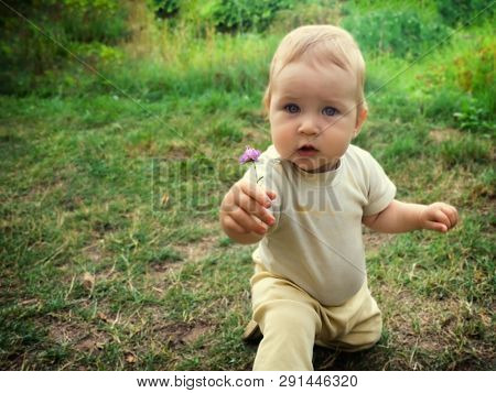 Little Toddler Boy Sitting On A Pope On The Grass. The Child Found A Flower In The Grass, Plucked Th