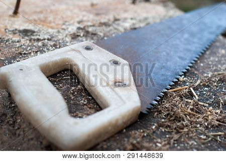 Old Saw On Old Wood, Rusty Toothed Saw,