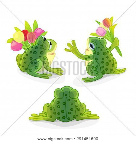 Vector Cartoon Animal Clipart: Green Toad, Frog