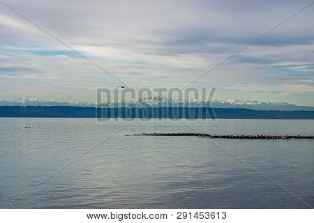 A View Of The Olympic Mountain Range In Washington State.