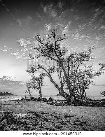 Blackwhite Panorama Photo Of  Batam Bintan Wonderful Indonesia