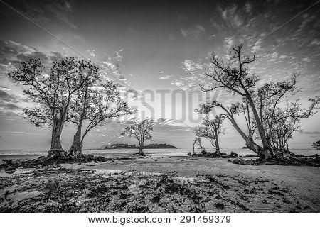Blackwhite Panorama Photo Of  Batam Bintan Wonderful Indonesia