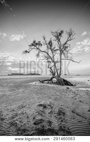 Blackwhite Landscape Photo Of  Batam Bintan Wonderful Indonesia