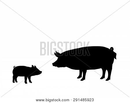 Pig Piggie Farm Mammal Black Silhouette Animal. Vector Illustrator.