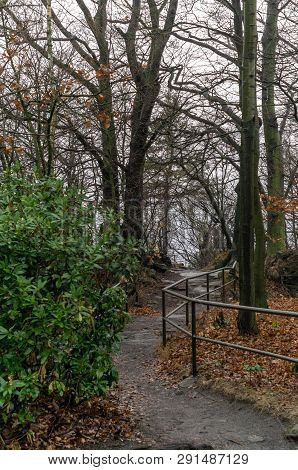 Narrow Hiking Trail On The Lilienstein, Saxony Switzerland