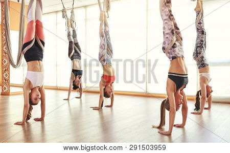 A Group Of People Engaged In A Class Of Yoga Aero In Hammocks Antigravity