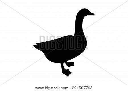 Goose Or Duck Bird, Vector Black Color Silhouette Illustration For Icon, Logo, Poster, Banner Abstra