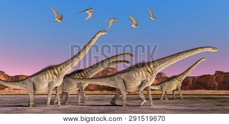 Sauroposeidon Dinosaur Herd 3d Illustration - A Flock Of Pteranodon Reptiles Fly Over A Herd Of Saur