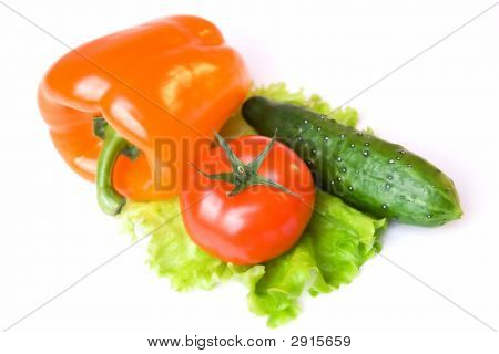 야채-01