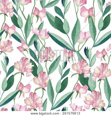 Seamless Pattern With Watercolor   Pea Flowers And Leaves. Illustration Isolated On White Background
