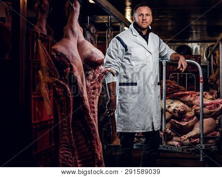The Butcher In A White Work Shirt Holding Ax While Standing In A Refrigerated Warehouse In The Midst