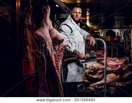 The Butcher In Workwear Posing In A Refrigerated Warehouse In The Midst Of Meat Carcasses