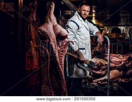 The Butcher In Workwear Posing With Two Axes In A Refrigerated Warehouse In The Midst Of Meat Carcas