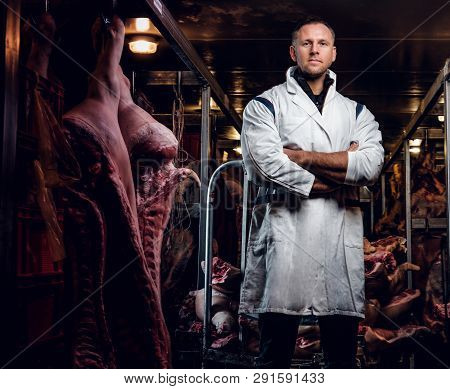 The Butcher In Workwear With His Arms Crossed In A Refrigerated Warehouse In The Midst Of Meat Carca