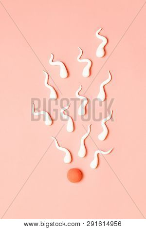 Medical Concept. The Figure Of Human Sperm And Human Egg